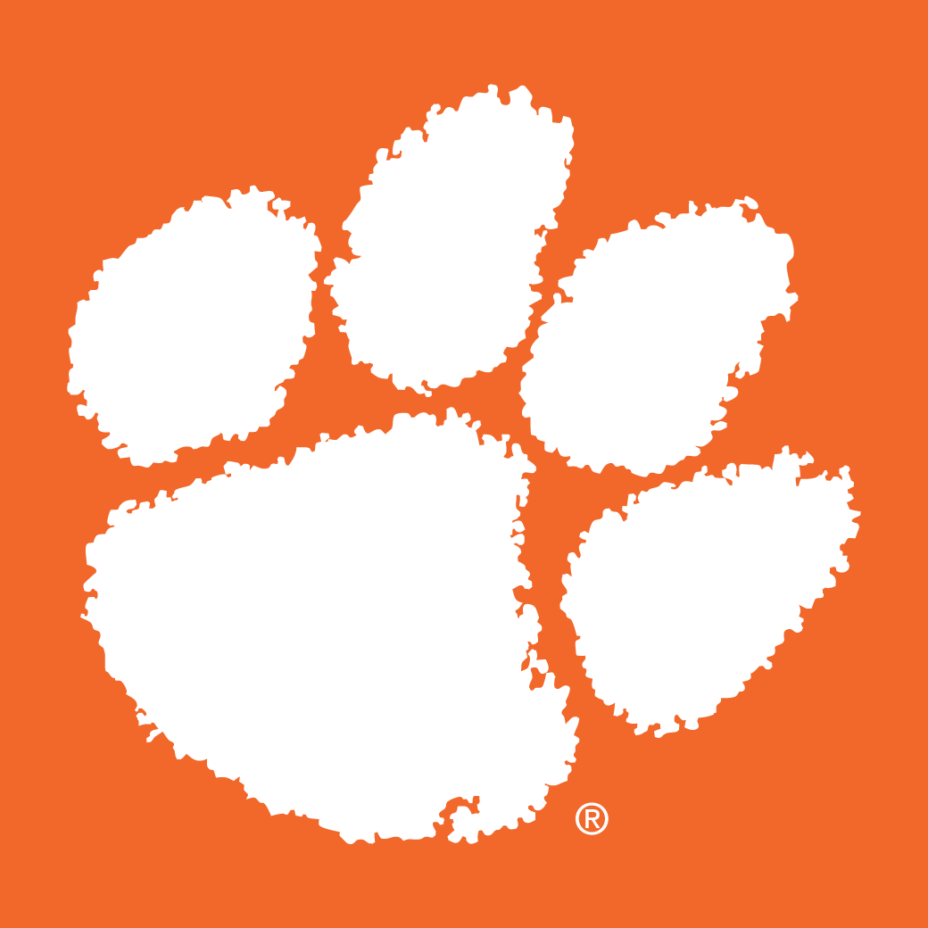 Clemson Tigers 1977-Pres Secondary Logo 02 iron on paper